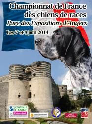 Of Eternal Passion - Championnat de France 2014 Angers
